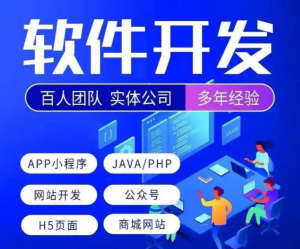 定制ERP软件开发和标准化ERP系统，该怎么选择？