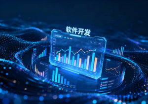 中小企业做ERP软件开发，选外包还是自主开发更划算？